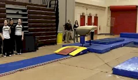 Brown (Emily Lutfey)