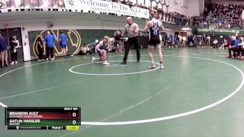 132 lbs Cons. Round 4 - Gatlin Hassler, Midview vs Brandon Ault, Olentangy (Lewis Center)