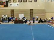 Brown (Chelsey Binkley)