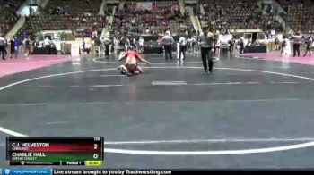 120 lbs Cons. Round 2 - Charlie Hall, Shelby County vs C.j. Helveston, Saraland
