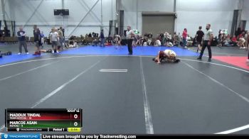 96 lbs Round 5 (6 Team) - Maddux Tindal, Team Gotcha vs Marcos Asan, M2TCNJ