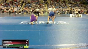 215 lbs Champ. Round 1 - Andre Doll, Napoleon G-S vs Cade Okeson, Bishop Ryan
