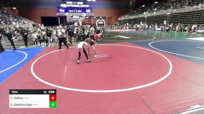 74 lbs Quarterfinal - Cam Dalbey, Ridge WC vs Silas Seldomridge, Rawlins WC