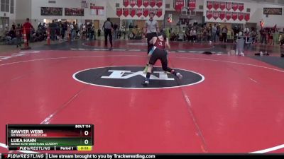 95 lbs Cons. Semi - Luka Hahn, Berge Elite Wrestling Academy vs Sawyer Webb, No Nonsense Wrestling