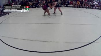 238 lbs Quarterfinal - Nalyen Figueroa, Grand Island Legacy Girls Wrestling Club vs Addison Marschman, Fairbury