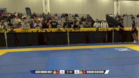 Redouane Selim Cherif vs Jacob Domenic Wiley 2024 World IBJJF Jiu-Jitsu No-Gi Championship