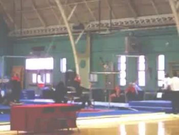 Brown (Alicia Sacramone)