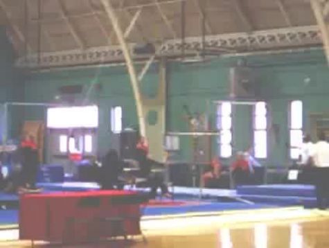 Brown (Alicia Sacramone)