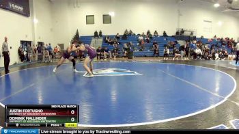 133 lbs 3rd Place Match - Justin Fortugno, University Of Wisconsin-Whitewater vs Dominik Mallinder, University Of Wisconsin-Whitewater