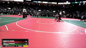 142 lbs Cons. Semi - Katelyn Norris, BWW1 vs Nikiala Hawkins, Unattached