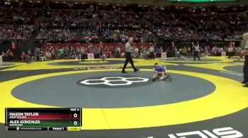 D2-113 lbs Semifinal - Mason Taylor, West Holmes vs Alex Gonzales, Napoleon