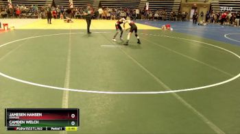 85 lbs Cons. Round 1 - Camden Welch, Wabasso vs Jamesen Hansen, Staples