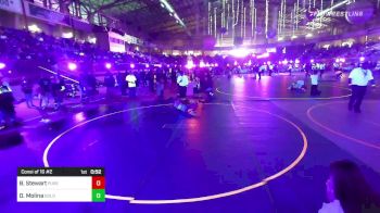 113 lbs Consi Of 16 #2 - Braxton Stewart, Purebred Elite vs Dominic Molina, Golden Eagles WC