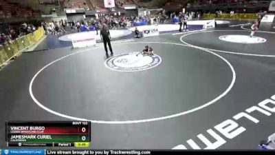 49 lbs Champ. Round 2 - Vincent Burgo, Legion Wrestling Club vs JamesMark Curiel, California