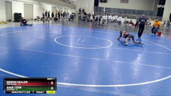 115 lbs Semis & 1st Wrestleback (8 Team) - Gideon Muller, Pine Island vs Gage Cook, Hastings