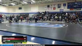 106 lbs Cons. Semi - Zack Carr, Park vs Gabrielle Bragg, Anoka