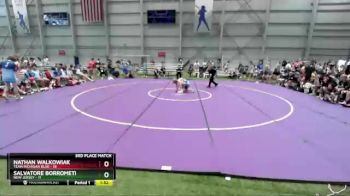 100 lbs Placement Matches (16 Team) - Nathan Walkowiak, Team Michigan Blue vs Salvatore Borrometi, New Jersey