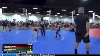 60 lbs Round 3 (8 Team) - Molly Mooney, 84 Athletes vs Luke Pluchino, Flemington