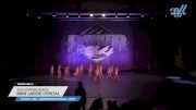 Star Steppers Dance - Mini Large Lyrical [2025 Mini - Contemporary/Lyrical - Large Day 2] 2025 Power Dance Grand Nationals