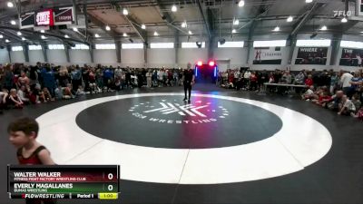 41 lbs 1st Place Match - Everly Magallanes, Dumas Wrestling vs Walter Walker, Fitness Fight Factory Wrestling Club