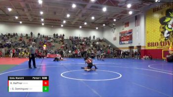 113 lbs Cons. Round 5 - Simon Dominguez, Detroit Catholic Central vs Harrison Haffner, Brecksville B