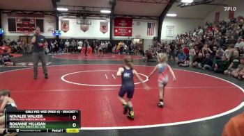 Bracket 1 lbs Round 3 - Novalee Walker, Keokuk Kids Wrestling Club vs Roxanne Milligan, Keokuk Kids Wrestling Club