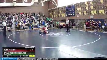 132 lbs Quarterfinal - Cael Sellers, Elko vs Ethan Alexander Chavez, Desert Oasis