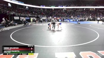 II-102 lbs Champ. Round 1 - Derek Walseman, Beaver River vs Antonio Faldetta, Mount Sinai