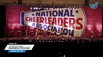 Python All Stars - Burmese Pythons [2025 L1.1 Tiny - PREP Day 1] 2025 NCA Atlanta Classic