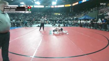 3A 113 lbs 5th Place Match - Michael Gahles, Parma vs Brock Larsen, Firth