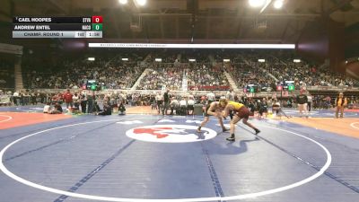 4A-165 lbs Champ. Round 1 - Cael Hoopes, Star Valley vs Andrew Entel, Natrona County