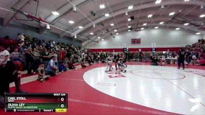 76-80 lbs Round 4 - Olivia Ley, Platte Valley Jr Wrestling vs Cael Stoll, NBWA