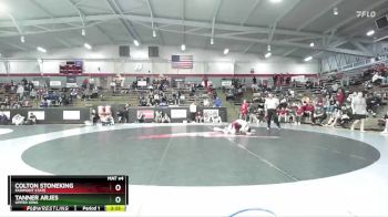 141 lbs Champ. Round 1 - Colton Stoneking, Fairmont State vs Tanner Arjes, Upper Iowa