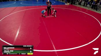 60 lbs Cons. Round 2 - Mikael Moe, Minnewaska vs Rio Johnson, St. Peter