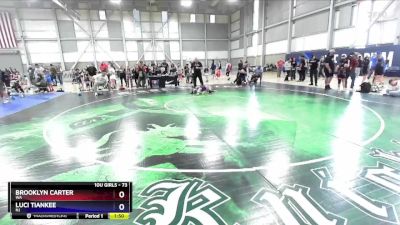 73 lbs Quarterfinal - Brooklyn Carter, WA vs Luci Tiankee, NJ