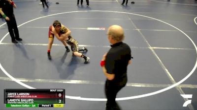 120 lbs 3rd Place Match - Landyn Gallipo, Andover Wrestling Club vs Jayce Larson, Forest Lake Wrestling Club