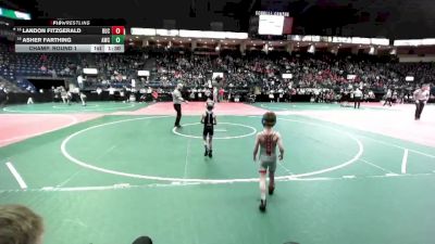 45 lbs Champ. Round 1 - Landon Fitzgerald, BUC2 vs Asher Farthing, AWC1
