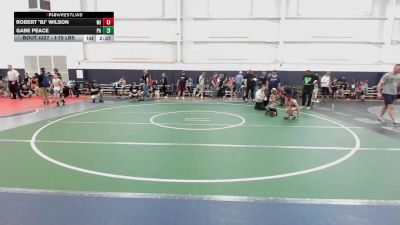 J-75 lbs Quarterfinal - Robert "BJ" Wilson, MI vs Gabe Peace, PA