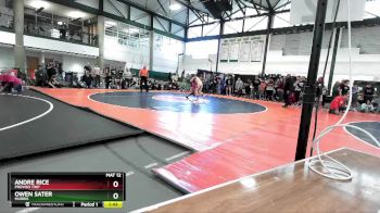 100-110 lbs Quarterfinal - Andre Rice, Proviso TWP vs Owen Sater, Morris
