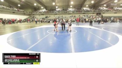 65 lbs Cons. Round 2 - Bryson Lingle, Victory Wrestling-AAA vs Davis Todd, Wentzville Wrestling Federation-AAA