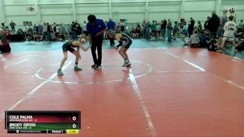 72 lbs Round 9 (10 Team) - Cole Palma, Neighborhood WC vs Brody Gross, Ohio Gold 24K