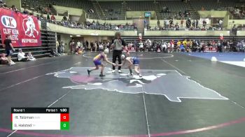 80 lbs Round 1 - Rhilynn Tolzman, Summit Wrestling Academy vs Gianna Halsted, Team Porcelli