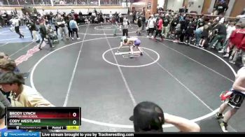 113 lbs Champ. Round 2 - Brody Lynch, Lewiston High School vs Cody Westlake, Belgrade