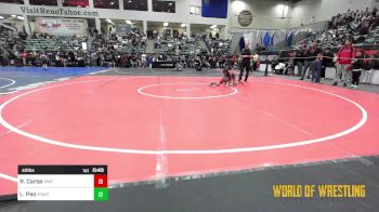 49 lbs Quarterfinal - Roman Carter, Mat Demon Wrestling Club vs Liam Pao, Miami Wrestling Club