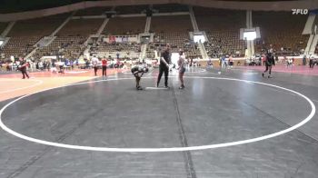 124 lbs Quarterfinal - Reagan Riddick, Presbyterian vs Ayonna McNeil, Mount Olive