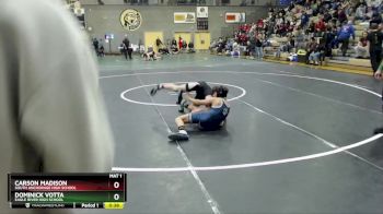 119 lbs 3rd Place Match - Carson Madison, South Anchorage High School vs Dominick Votta, Eagle River High School