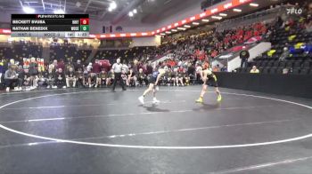 113 lbs Quarterfinal - Beckett Svuba, Hinton vs Nathan Benedix, Woodbury Central