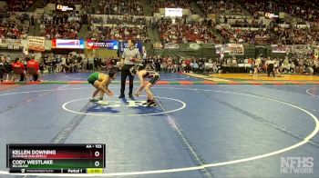 AA - 103 lbs Semifinal - Kellen Downing, Flathead (Kalispell) vs Cody Westlake, Belgrade