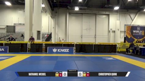 Christopher Quirk vs Nathaniel Wessel 2025 World IBJJF Jiu-Jitsu No-Gi Championship