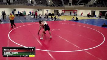 160 lbs Cons. Round 3 - Myles Matthies, Apple Valley vs Kamden Ernste, Rochester Mayo